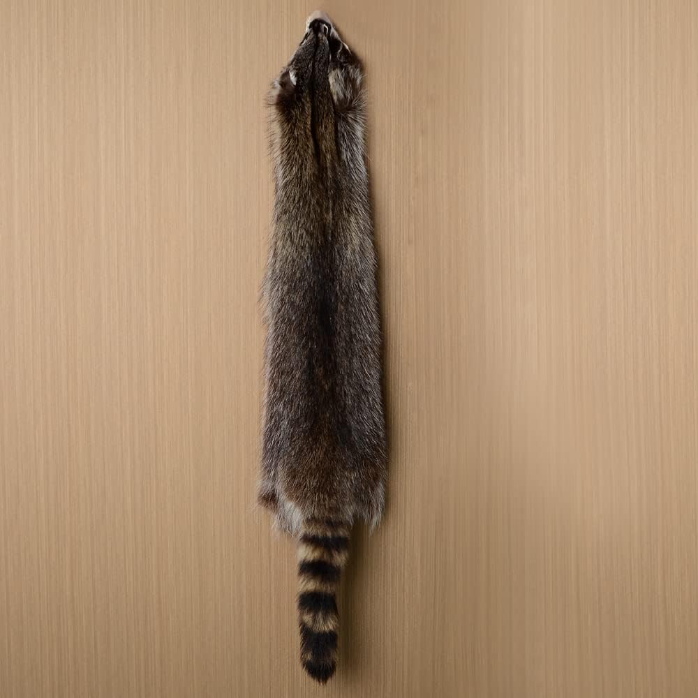 LAPOLAR 1pcs Pelts Natural Tanned American Raccoon Fur Hide Whole Skin Pelts with High Grade Professionally Taxidermy Crafts Sewing Leather for Coats, Hats, Clothing About L
