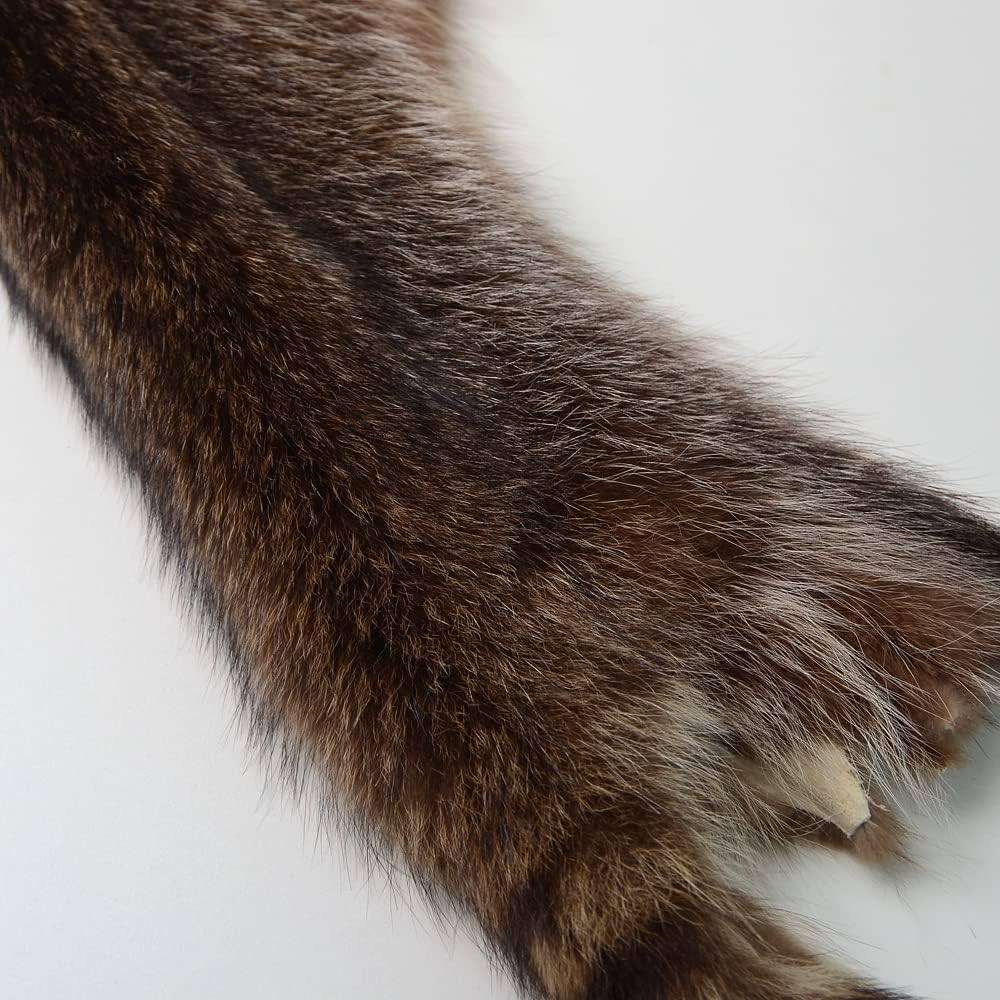 LAPOLAR 1pcs Pelts Natural Tanned American Raccoon Fur Hide Whole Skin Pelts with High Grade Professionally Taxidermy Crafts Sewing Leather for Coats, Hats, Clothing About L