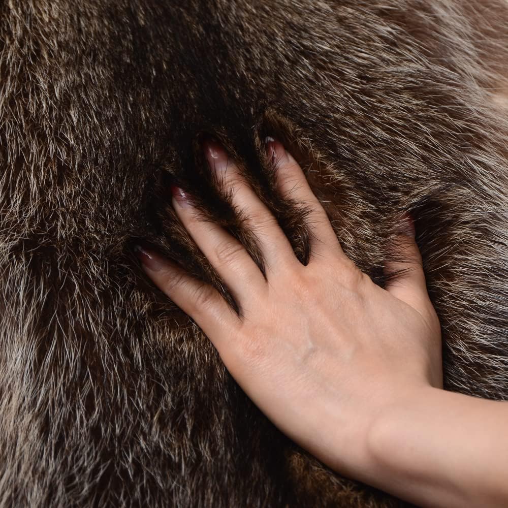 LAPOLAR 1pcs Pelts Natural Tanned American Raccoon Fur Hide Whole Skin Pelts with High Grade Professionally Taxidermy Crafts Sewing Leather for Coats, Hats, Clothing About L