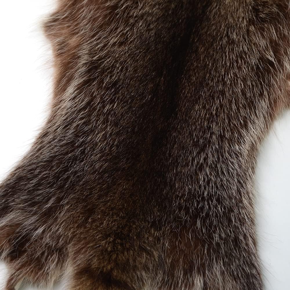 LAPOLAR 1pcs Pelts Natural Tanned American Raccoon Fur Hide Whole Skin Pelts with High Grade Professionally Taxidermy Crafts Sewing Leather for Coats, Hats, Clothing About L