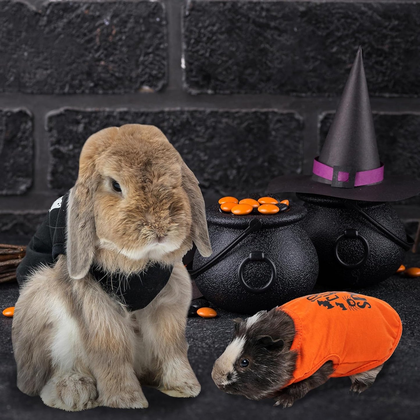 LAPOLAR Clothing for Animals, 2 Pack Soft Fleece Cute Small Animals Costume T-Shirt Pet Apparel for Rat Rabbit Chinchilla Kitten Chihuahua Puppy Ferret