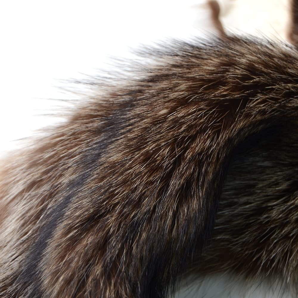 LAPOLAR 1pcs Pelts Natural Tanned American Raccoon Fur Hide Whole Skin Pelts with High Grade Professionally Taxidermy Crafts Sewing Leather for Coats, Hats, Clothing About L