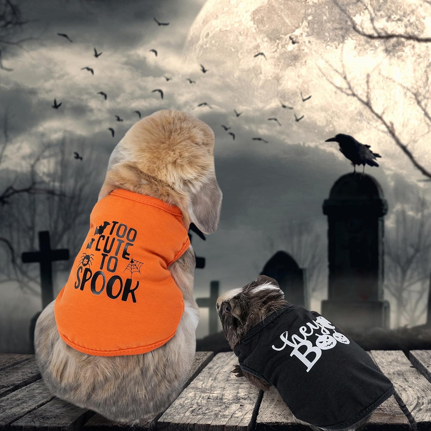 LAPOLAR Clothing for Animals, 2 Pack Soft Fleece Cute Small Animals Costume T-Shirt Pet Apparel for Rat Rabbit Chinchilla Kitten Chihuahua Puppy Ferret