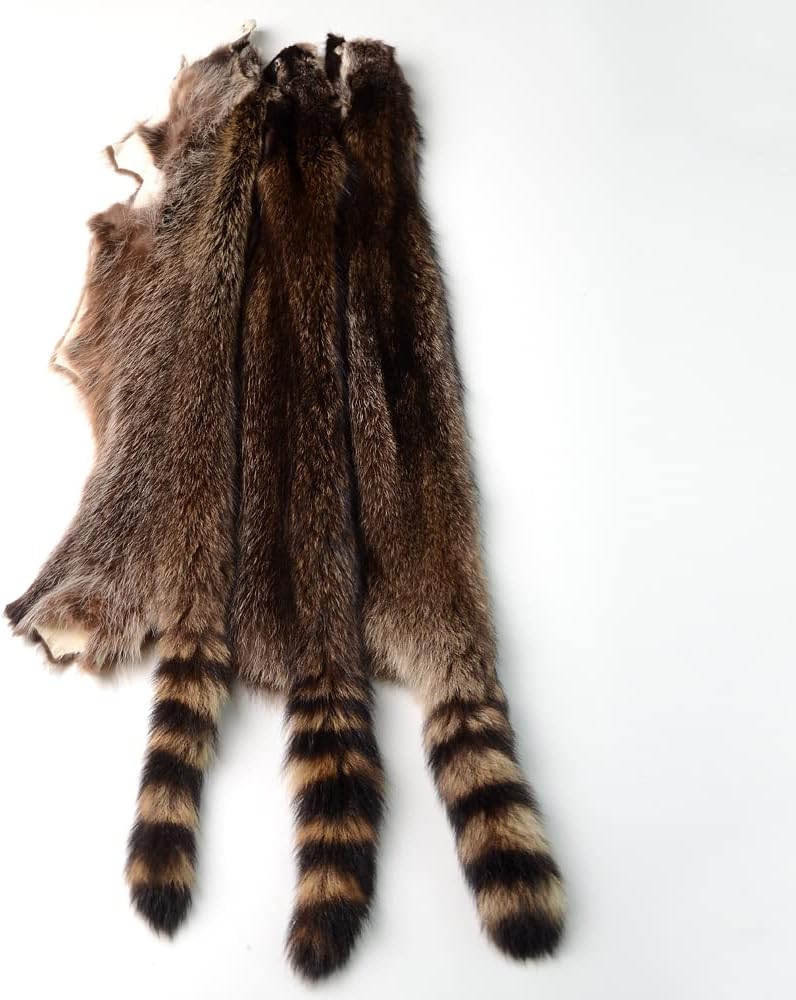 LAPOLAR 1pcs Pelts Natural Tanned American Raccoon Fur Hide Whole Skin Pelts with High Grade Professionally Taxidermy Crafts Sewing Leather for Coats, Hats, Clothing About L