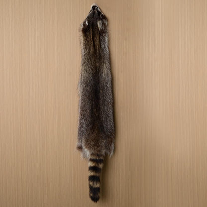 LAPOLAR 1pcs Pelts Natural Tanned American Raccoon Fur Hide Whole Skin Pelts with High Grade Professionally Taxidermy Crafts Sewing Leather for Coats, Hats, Clothing About L